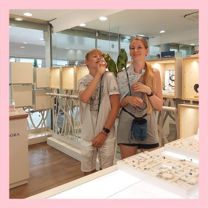 Casadei Gioielli Mimav2 Icona