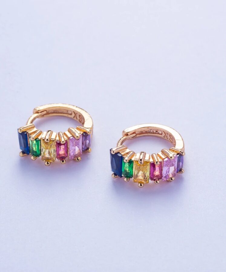 Orecchini Casadei Cerchietti Multicolor