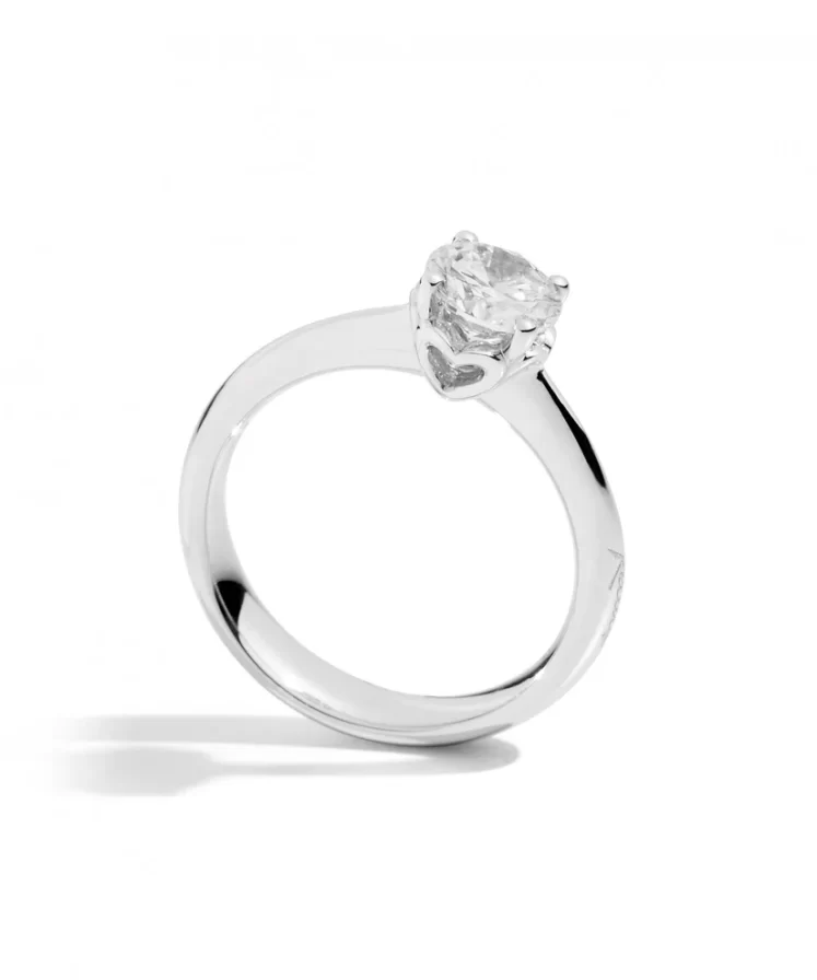 R01so001 2 1 Aebca6bc 060e 48c6 B75b 166f1abe34da